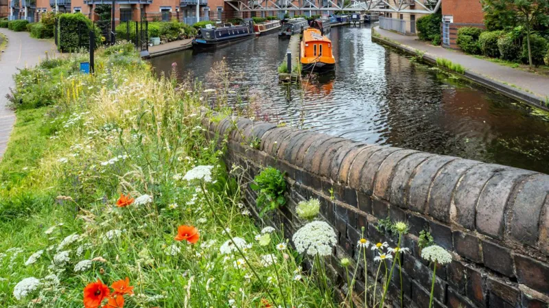 Birmingham named UK’s first Nature City