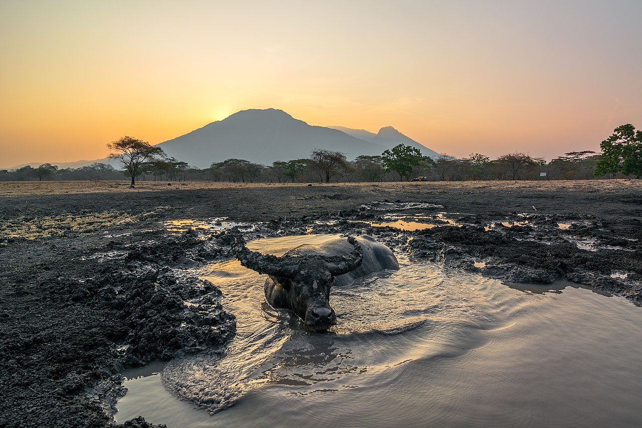 7 Must-Visit National Parks in Indonesia, From Java to Bali