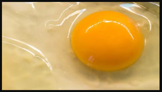 Whole egg or egg white? Which has better protein and helps build muscle?